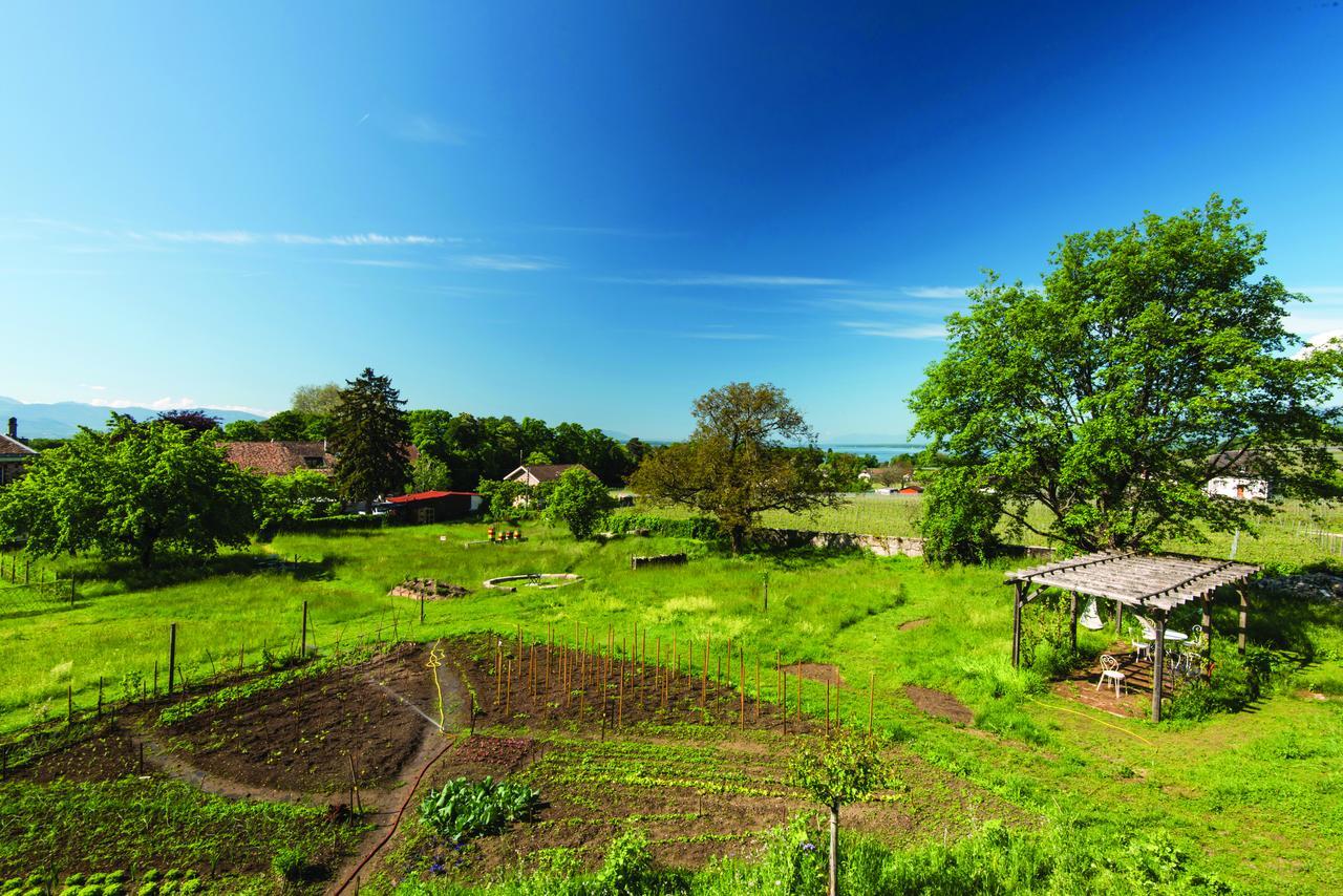 Chateau Rochefort Allaman Eksteriør bilde